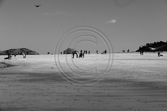 On the beach