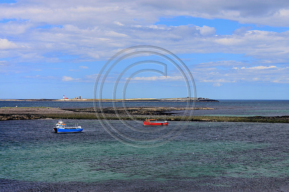 Farne Islands